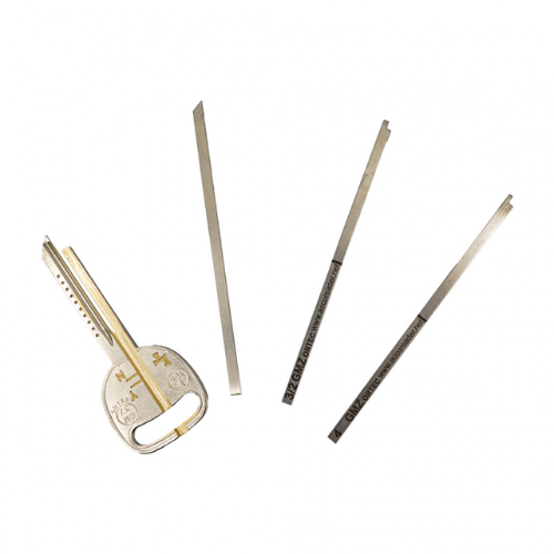 AccuReader - For GM-Z Keyway ( ORTEC )