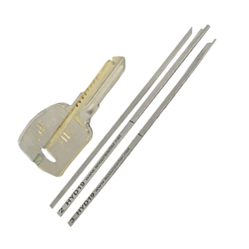 AccuReader - For Harley ( HYD19 )