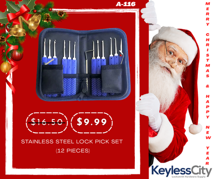 Stainless Steel Lock Pick Set (12 PCS)